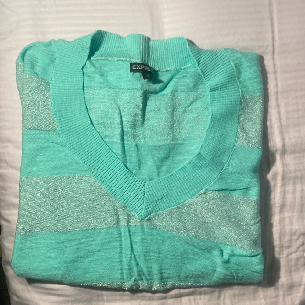 Express Long Sleeve V neck sparkly thin sweater